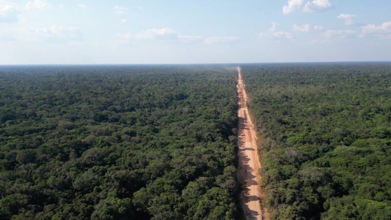 BR-319 mais perto de sair do papel com aprovação de emenda de Eduardo Braga na Lei de Licenciamento Ambiental