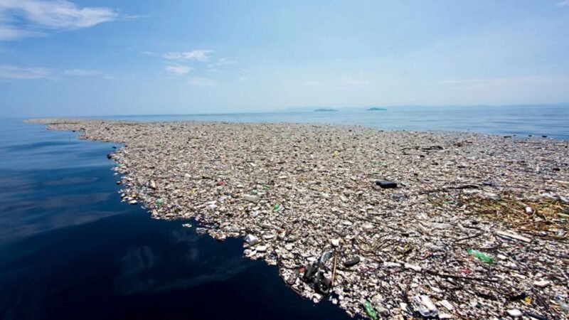 Grande Porção de Lixo do Pacífico cria novo ecossistema marinho