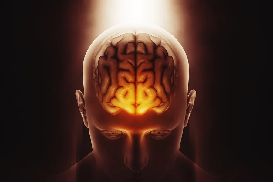 Estudo identifica “portão inteligente” de proteção ao sistema nervoso